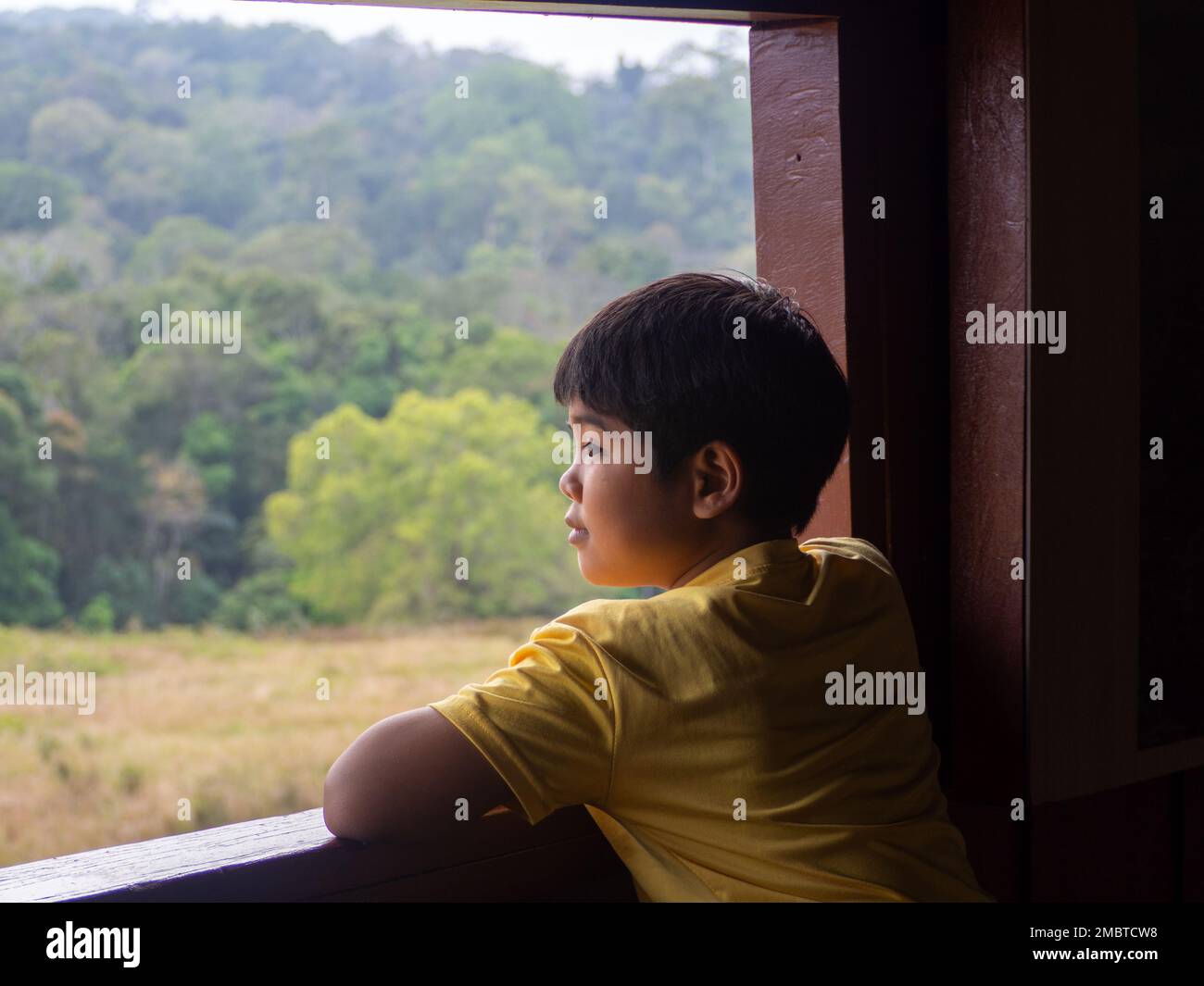 boy looking out window looking at the green forest Stock Photo