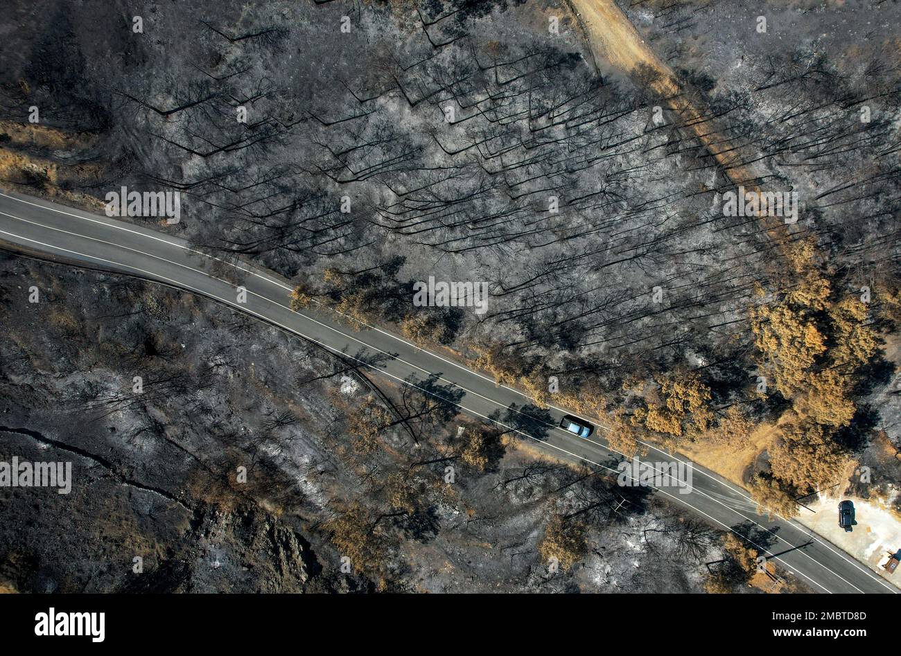 Road passing through a burned forest. Nature disaster forest fire. Cyprus Europe Stock Photo