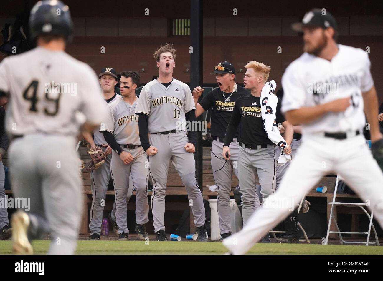 Wofford pitcher Andrew Herrmann (12) celebrates a run during an NCAA