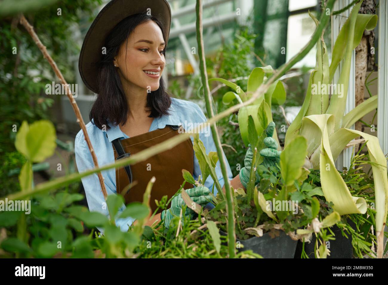 Charming young woman gardener in overalls view through lush foliage Stock Photo