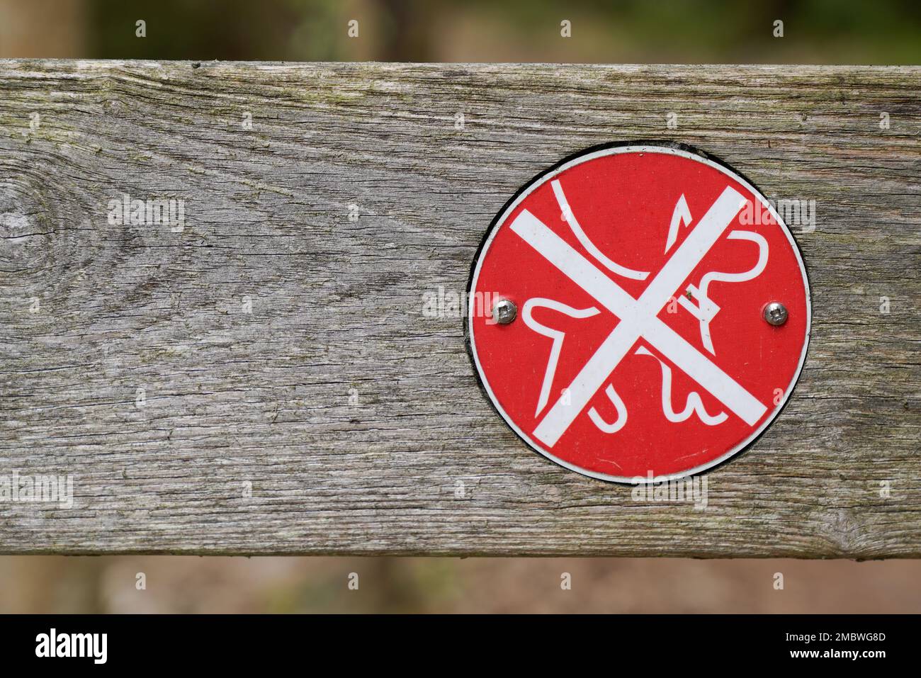 Set stop signs prohibiting hi-res stock photography and images - Alamy