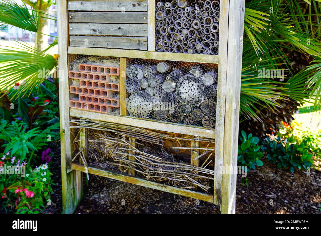 insect wooden house bug wood hotel hut ladybird bee home to butterfly