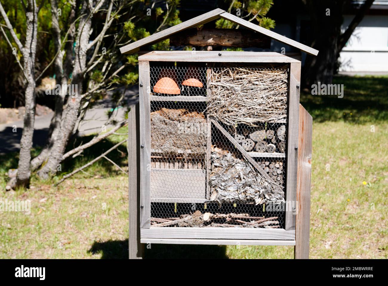 insect house bug wooden hotel ladybird bee home to butterfly