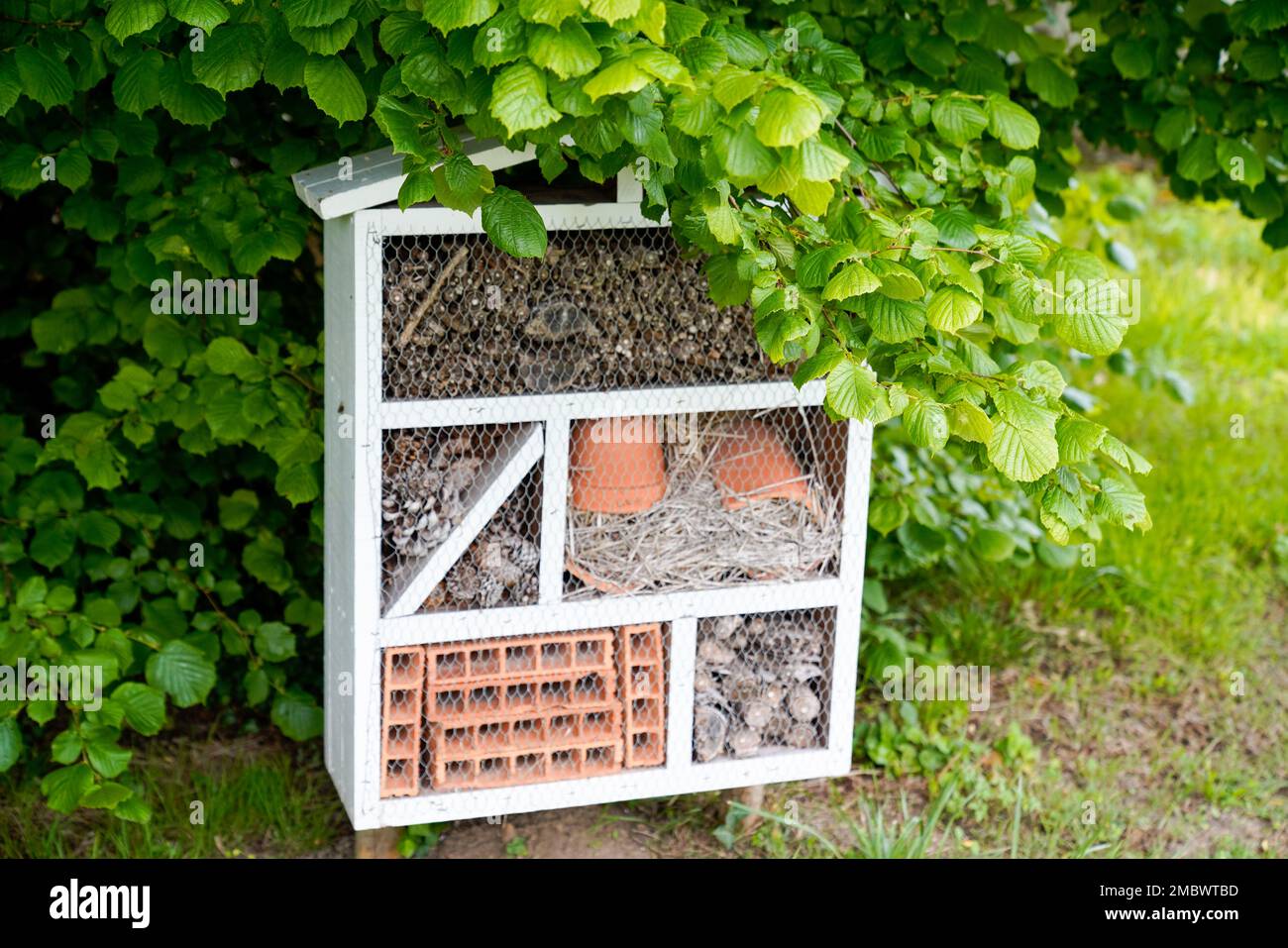 insect wooden house bug wood hotel ladybird bee home to butterfly