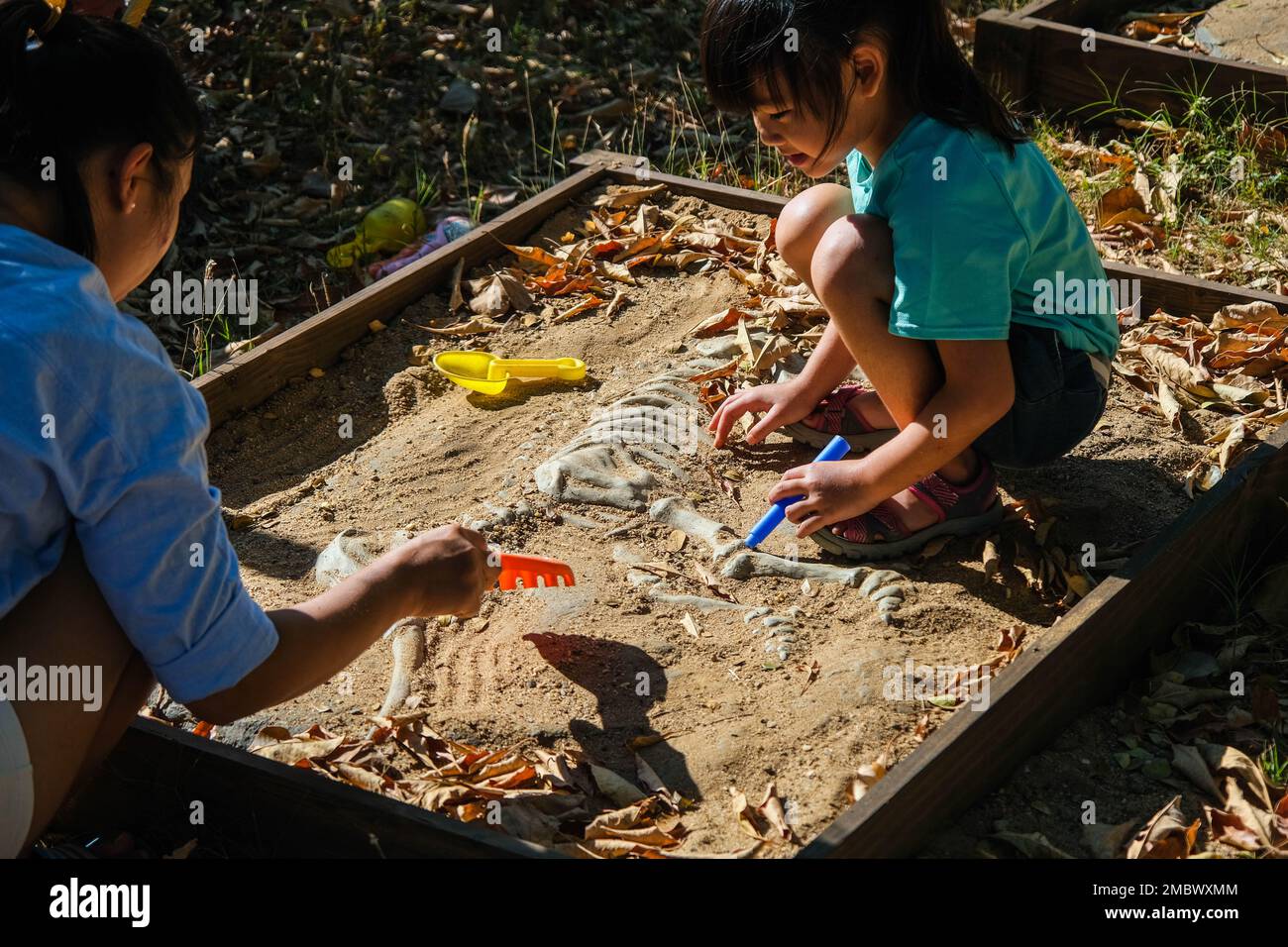 Cute little girl playing as a little archaeologist with her mother digging dinosaur fossils in the playground. Children learning about, Excavating din Stock Photo