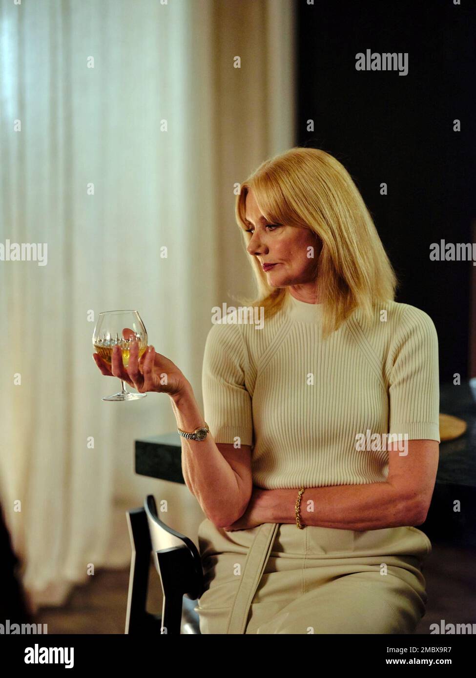 JOELY RICHARDSON in SUSPECT (2022), directed by DRIES VOS. Credit: Eagle Eye Drama / Album Stock Photo