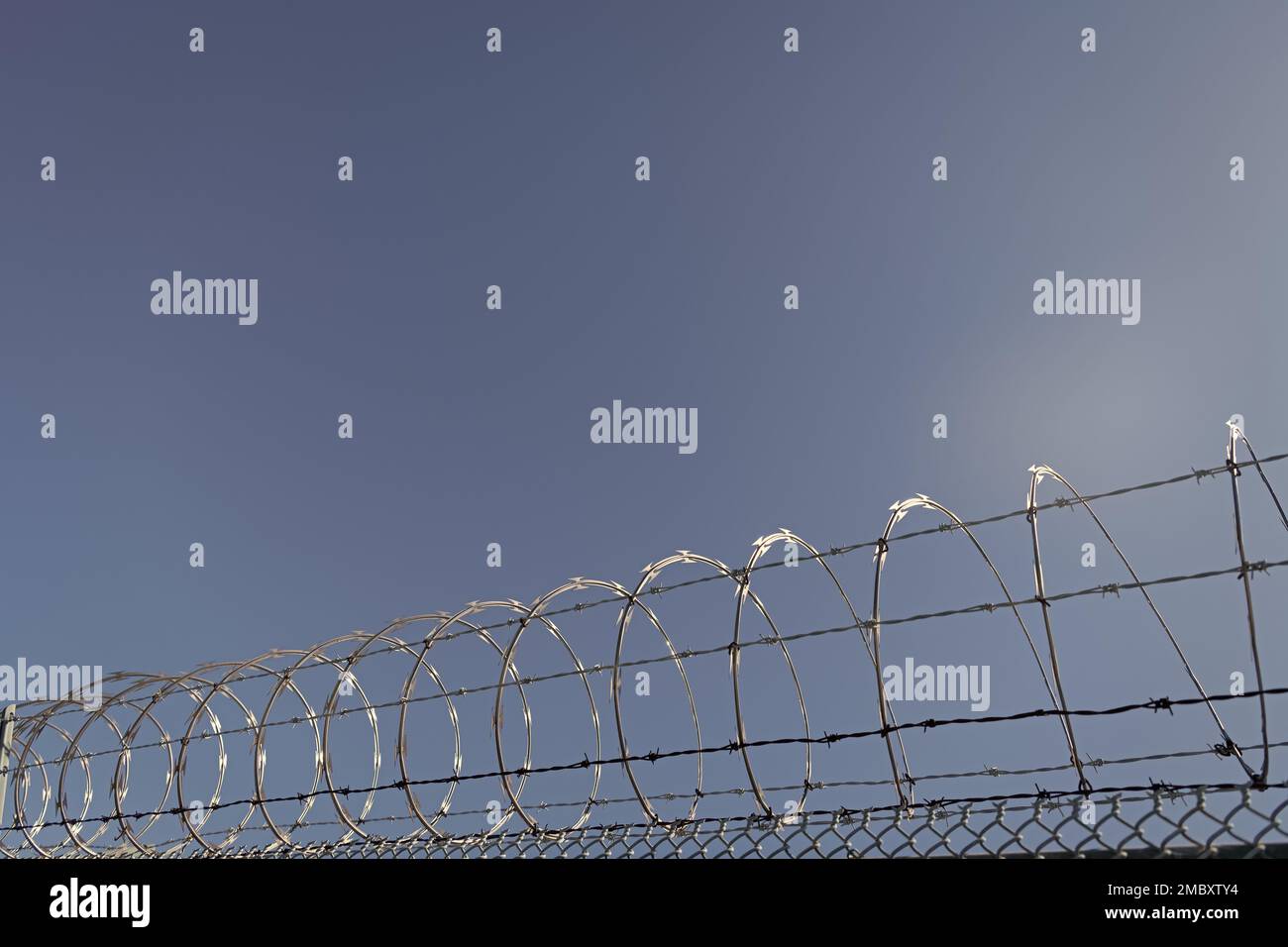 steel grating fence. coiled razor wire with its sharp steel barbs Stock ...
