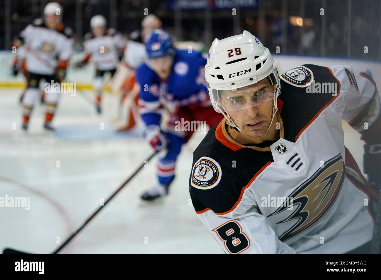 Anaheim Ducks center Vinni Lettieri (28) chases the puck during the