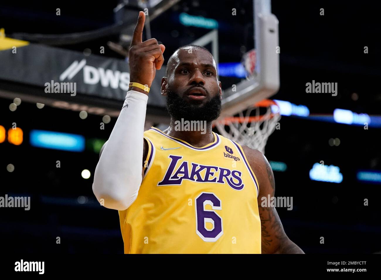 Lebron james top raptors jersey
