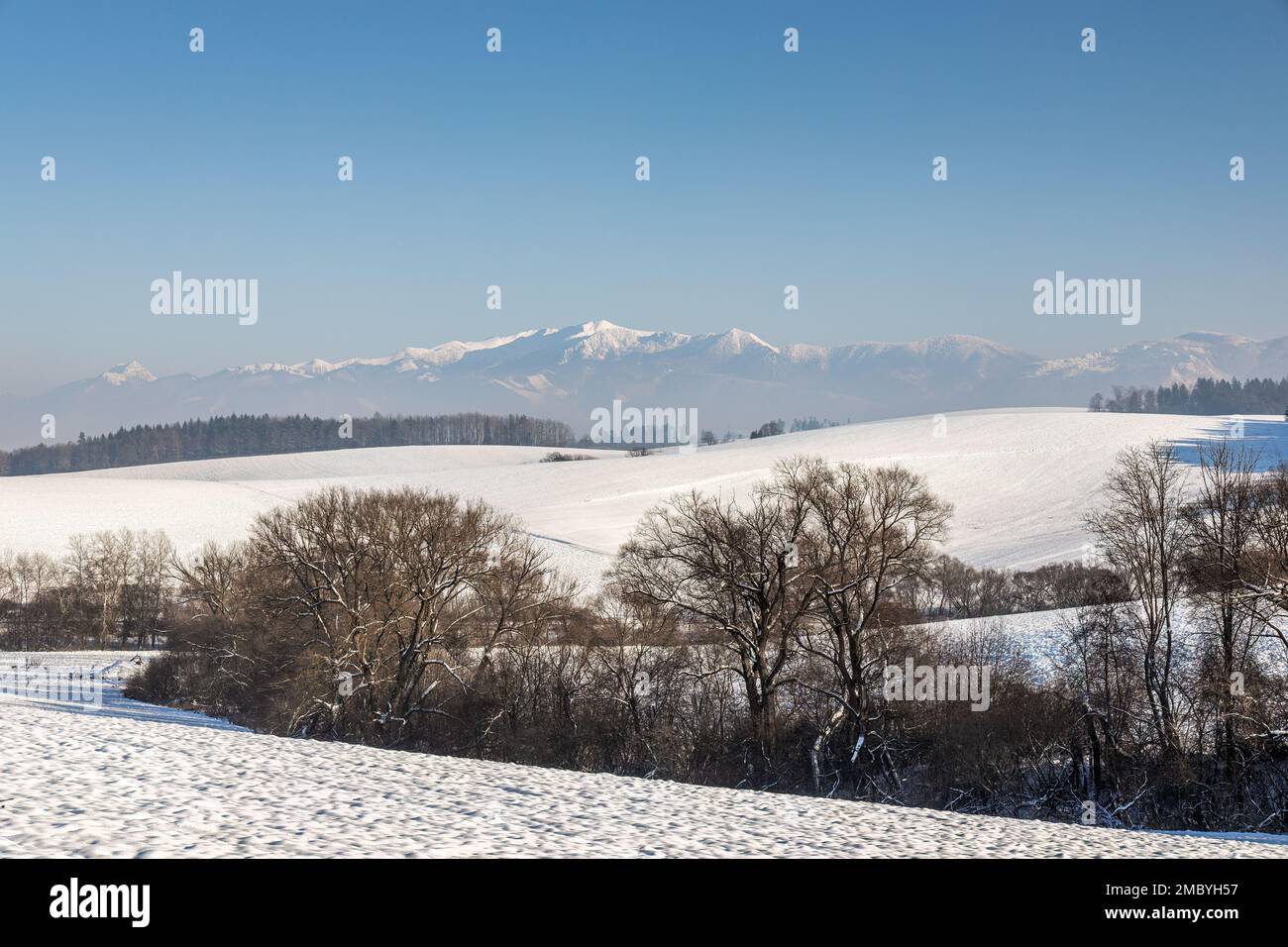 Winter snowy landscape with mountain in background, northwest of Slovakia, Europe. Stock Photo