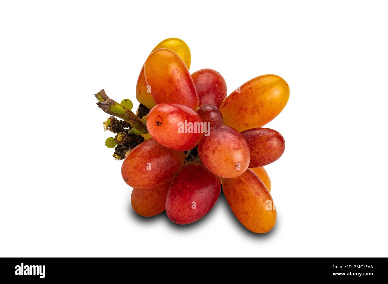 Bunch of freshly harvested ripe red grapes, Crimson Seedless, isolated on white background with clipping path Stock Photo