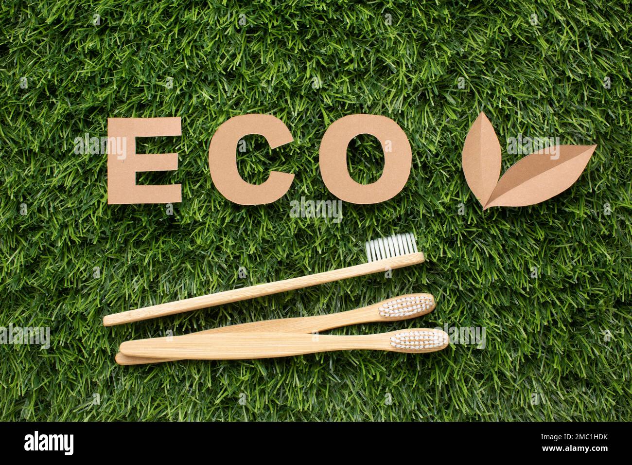 Ecological toothbrushes grass Stock Photo