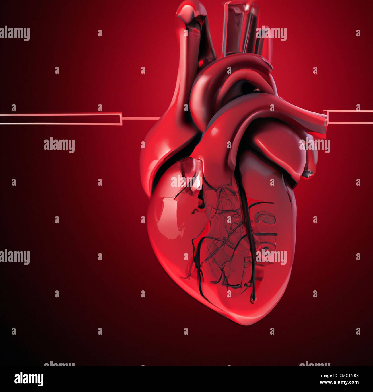 Human heart organ real hi-res stock photography and images - Alamy
