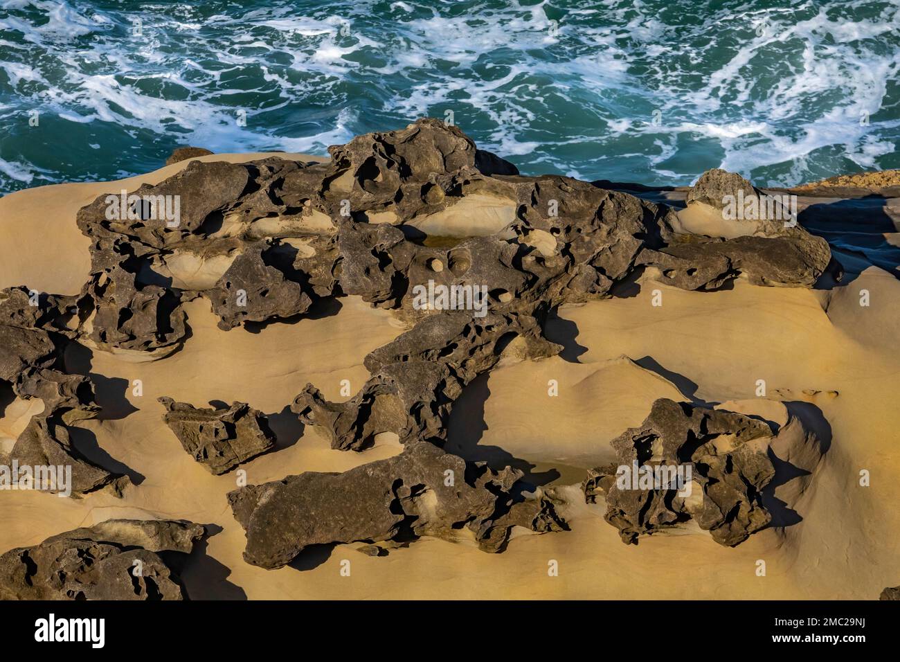 Honeycomb weathering and concretions on the sandstone at Shore Acres State Park on the Oregon Coast, USA Stock Photo