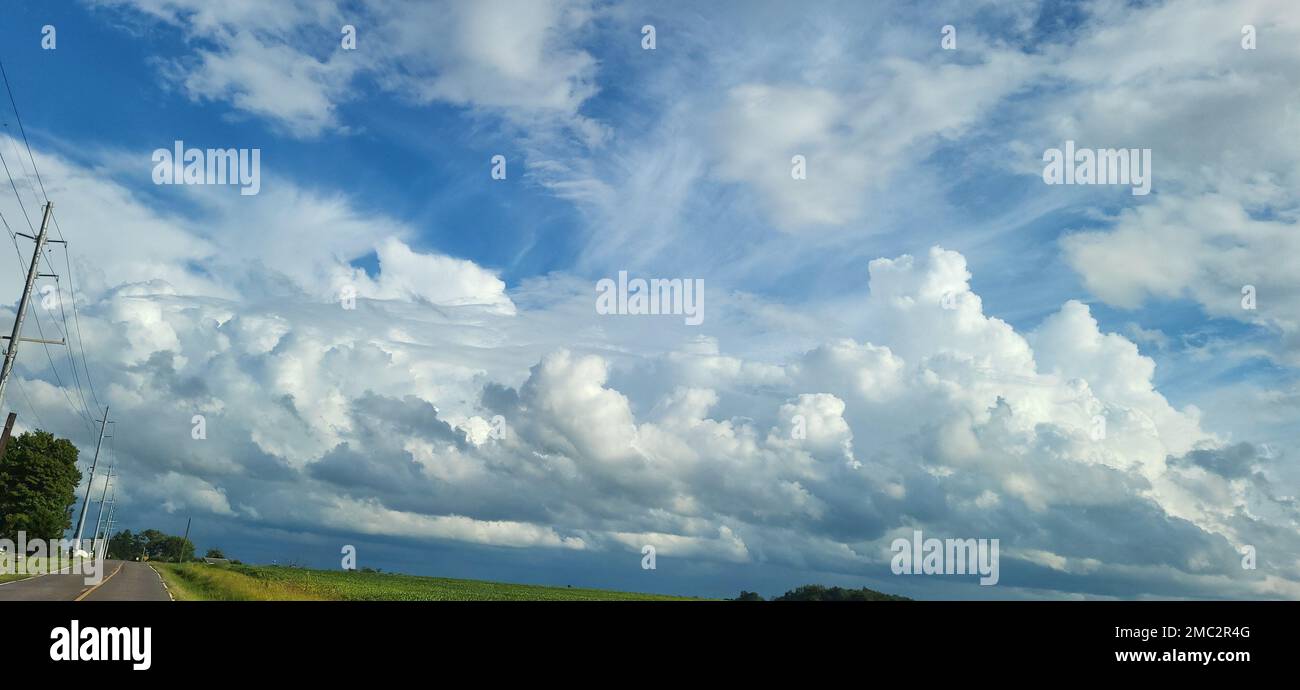 A beautiful shot of blue sky with huge white fluffy clouds above green ...