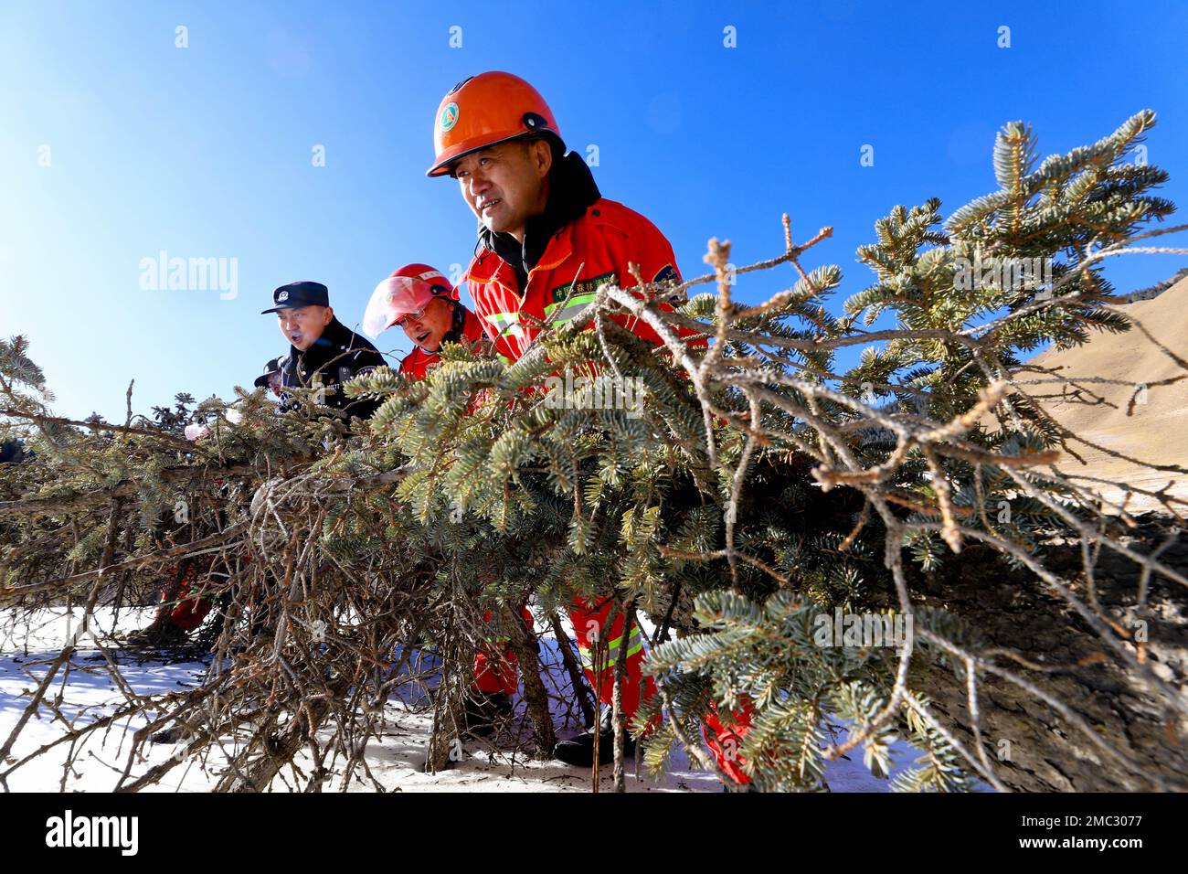 Chinese rangers hi-res stock photography and images - Alamy