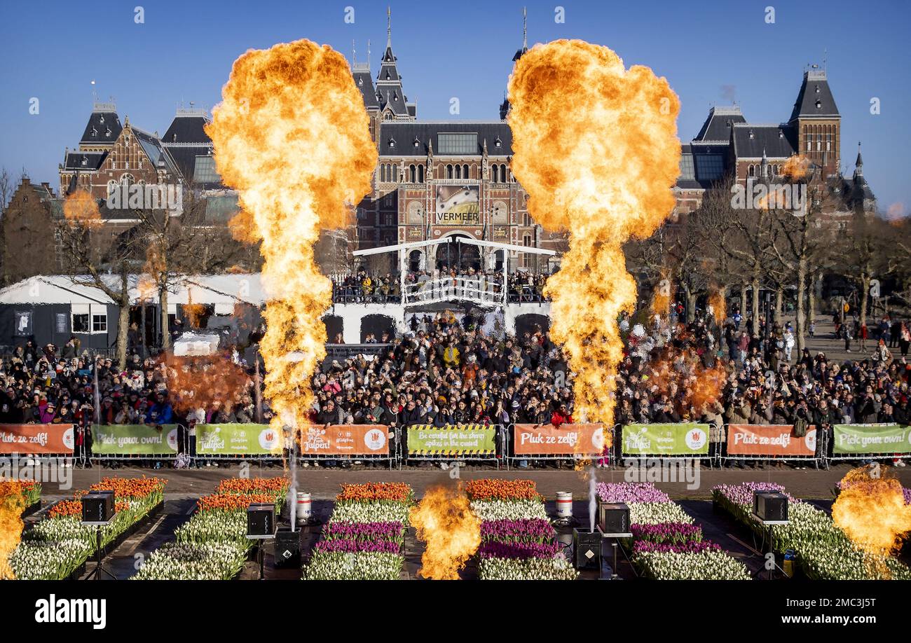 AMSTERDAM - A fireworks show after the opening of the picking garden ...