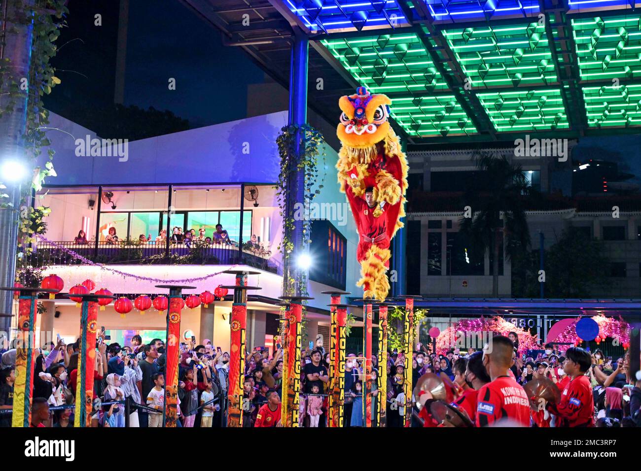 image not described image