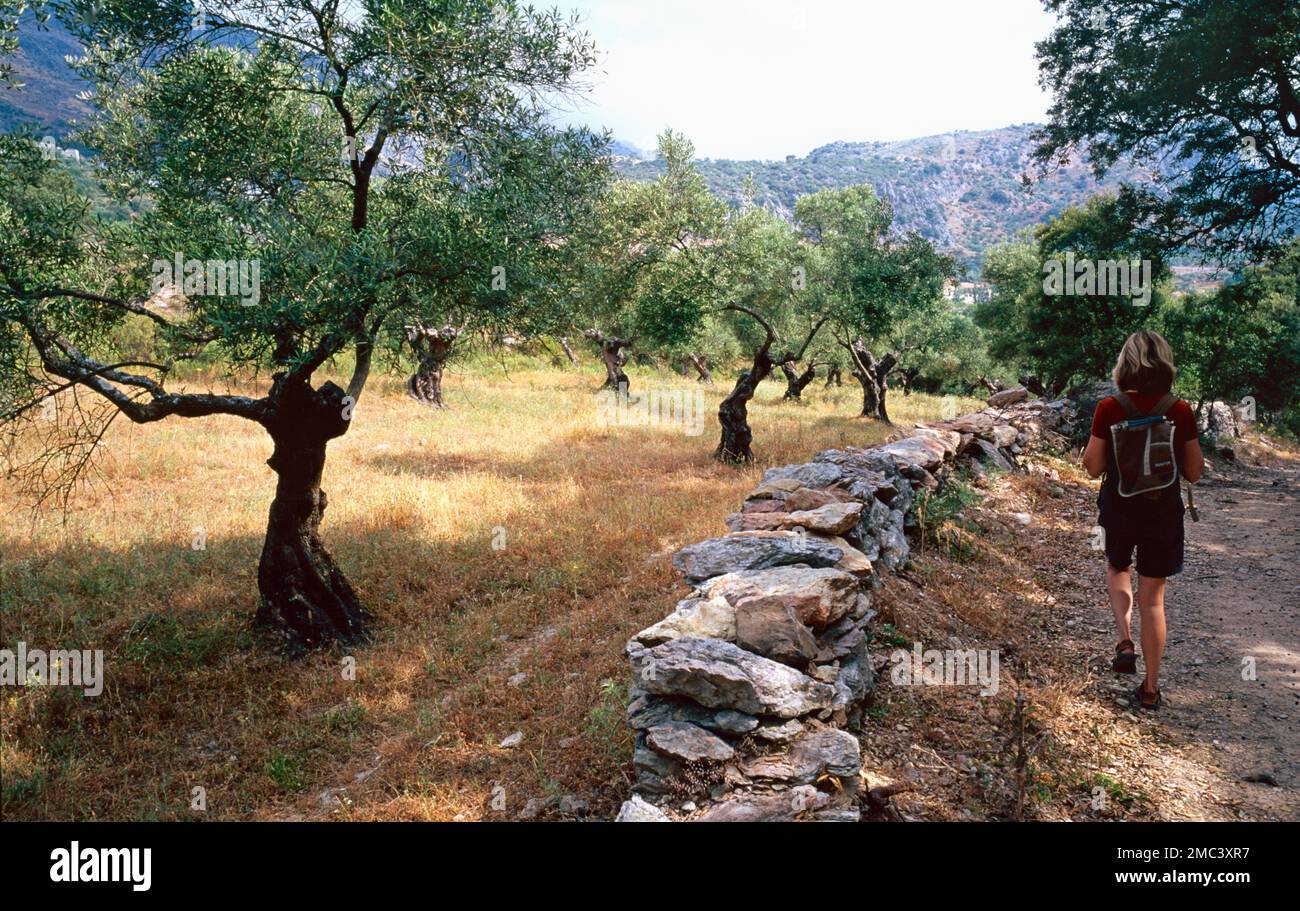 Woman walks hi-res stock photography and images - Alamy
