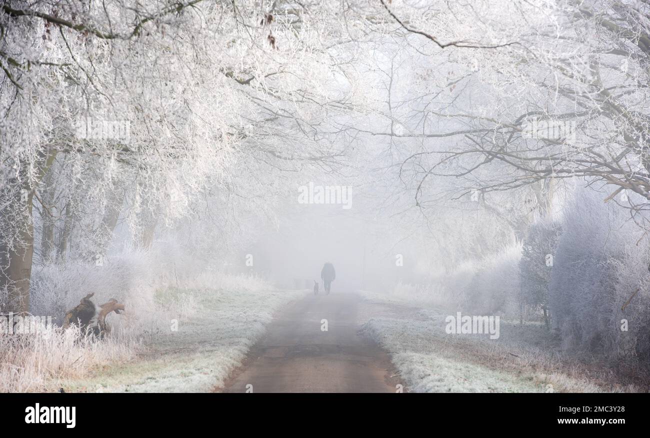 Whatton-in-the-Vale, Nottinghamshire, UK. 21st Jan 2023. A dog walker in the freezing fog at Whatton-in-the-Vale, Nottinghamshire. Neil Squires/Alamy Live News Stock Photo