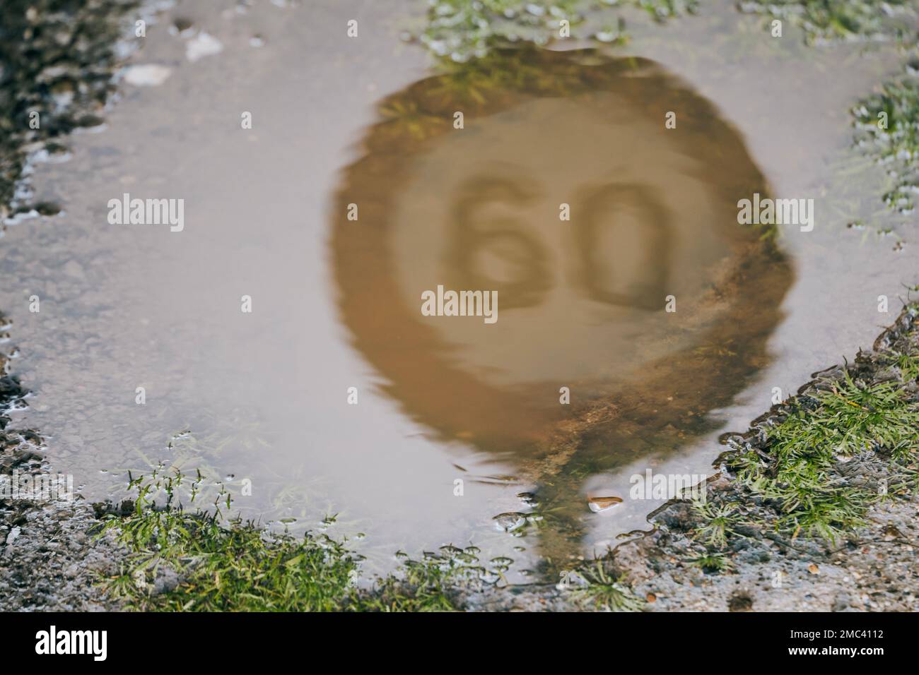 Close up speed limit road sign on an urban street reflected in a puddle of water. Stock Photo
