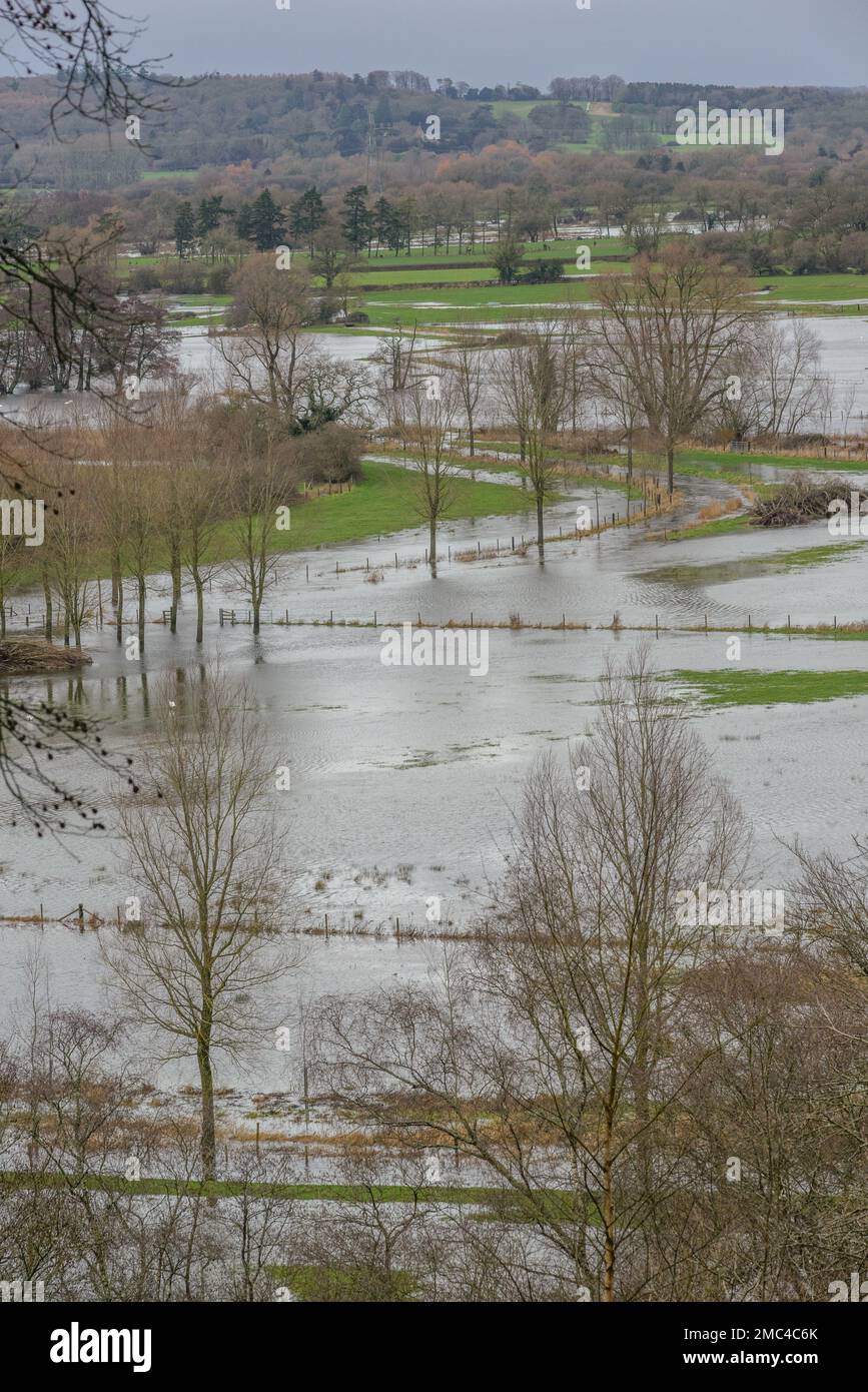 Flooded farmland from the River Avon, Hampshire, England, UK, January, 2023 Stock Photo