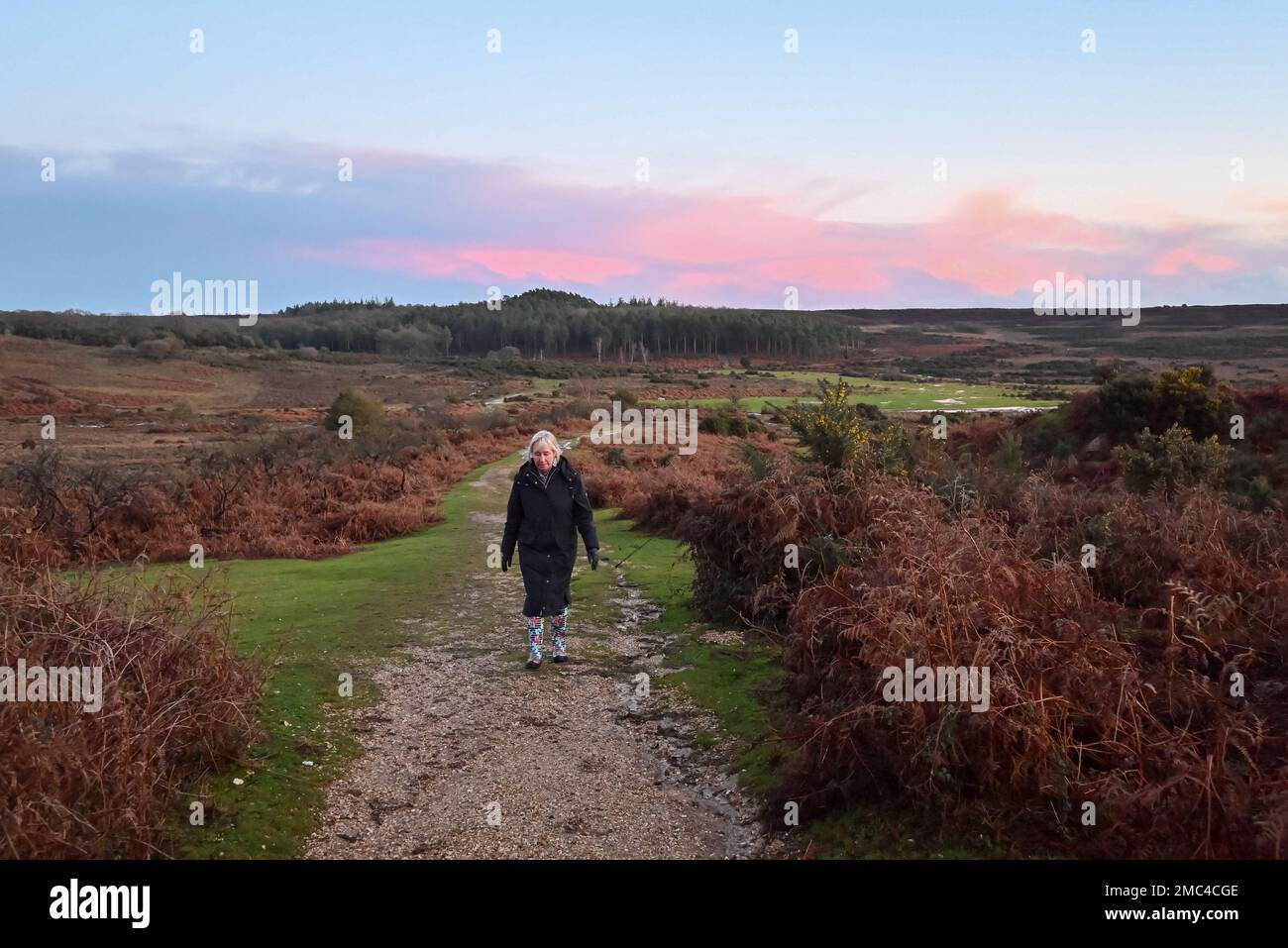 New forest hampshire uk woman hi-res stock photography and images - Alamy