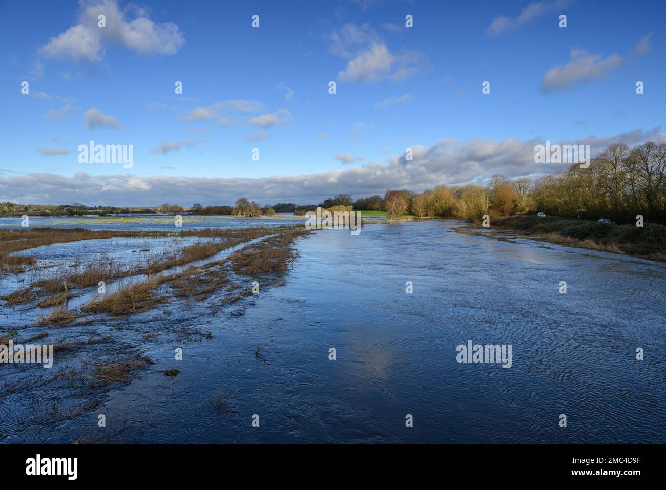 Flooding, River Avon, Hampshire, England, UK, January, 2023 Stock Photo