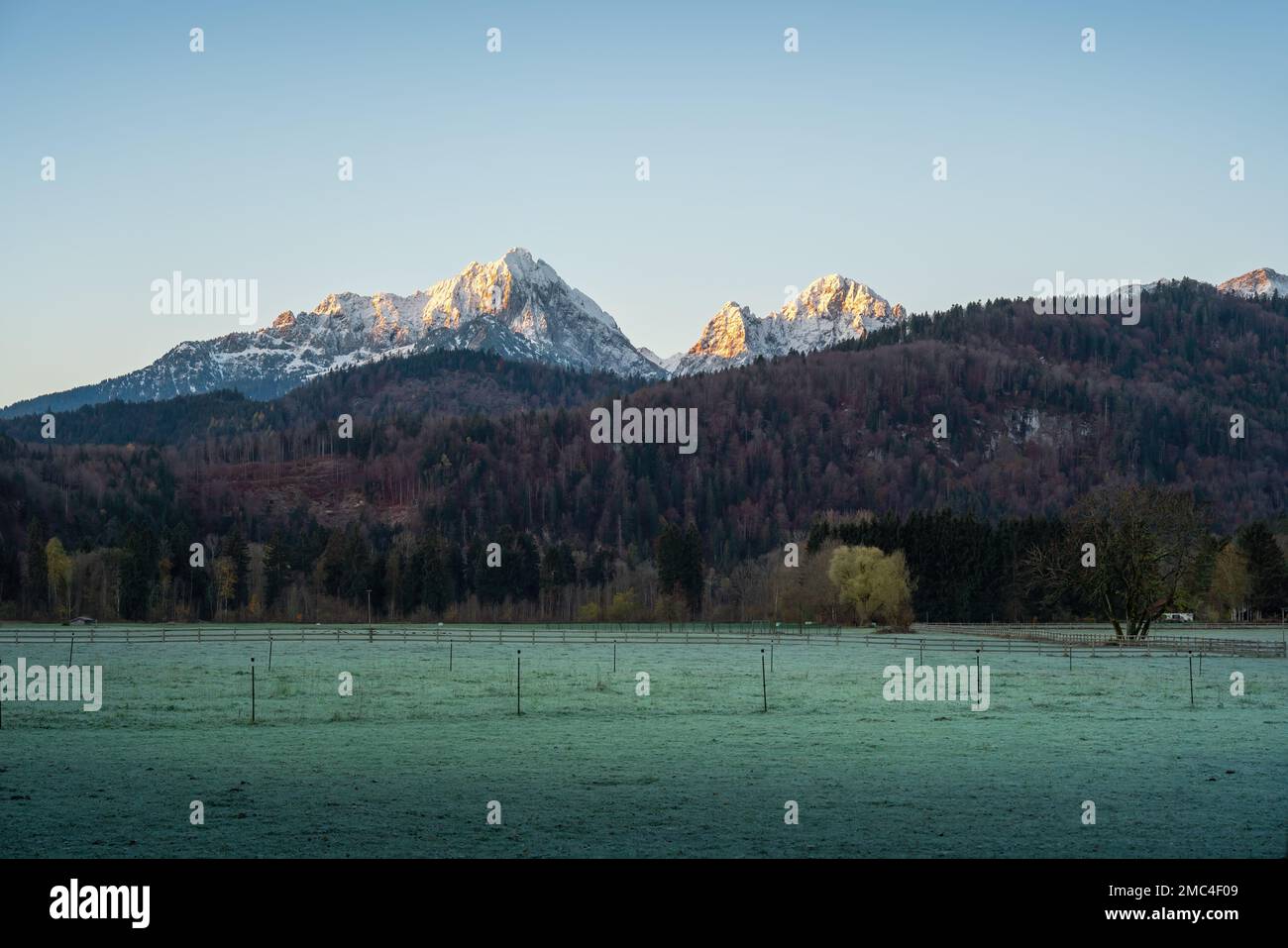 Morning Field view with Gehrenspitze and Kollenspitze peaks of Alps Tannheim Mountains on background - Schwangau, Bavaria, Germany Stock Photo