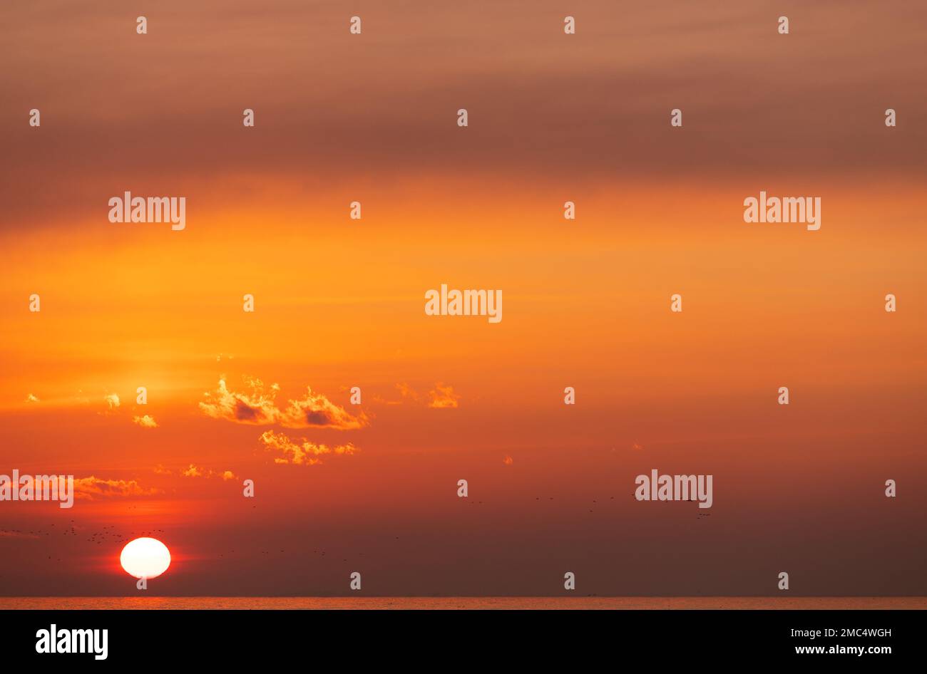 Beautiful sunrise on the sea with flying birds Stock Photo - Alamy