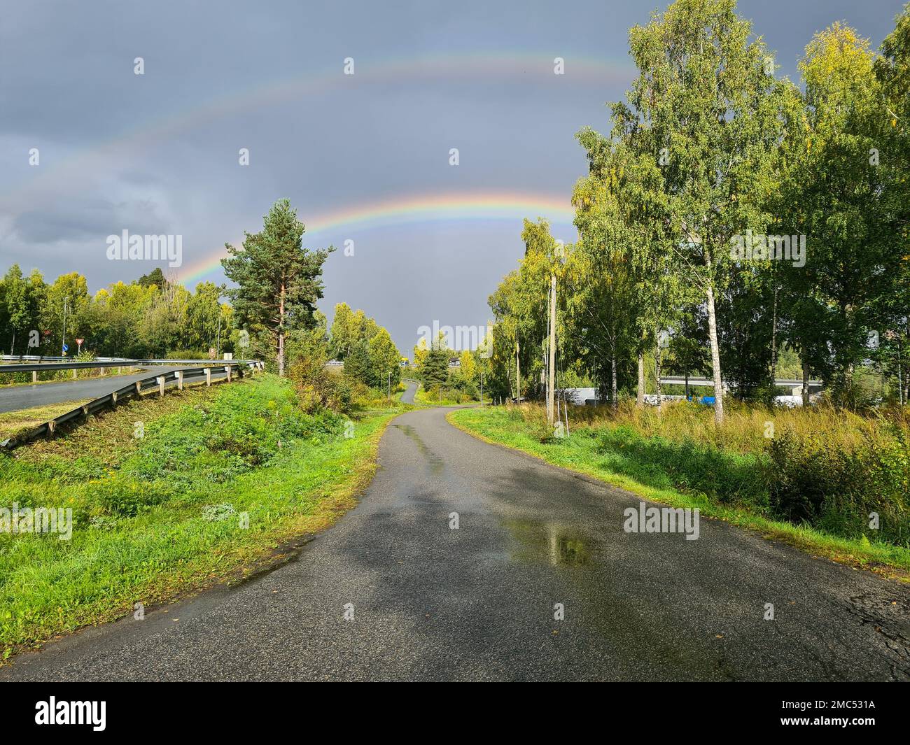 A wet road surrounded by green trees, and two rainbows shining through