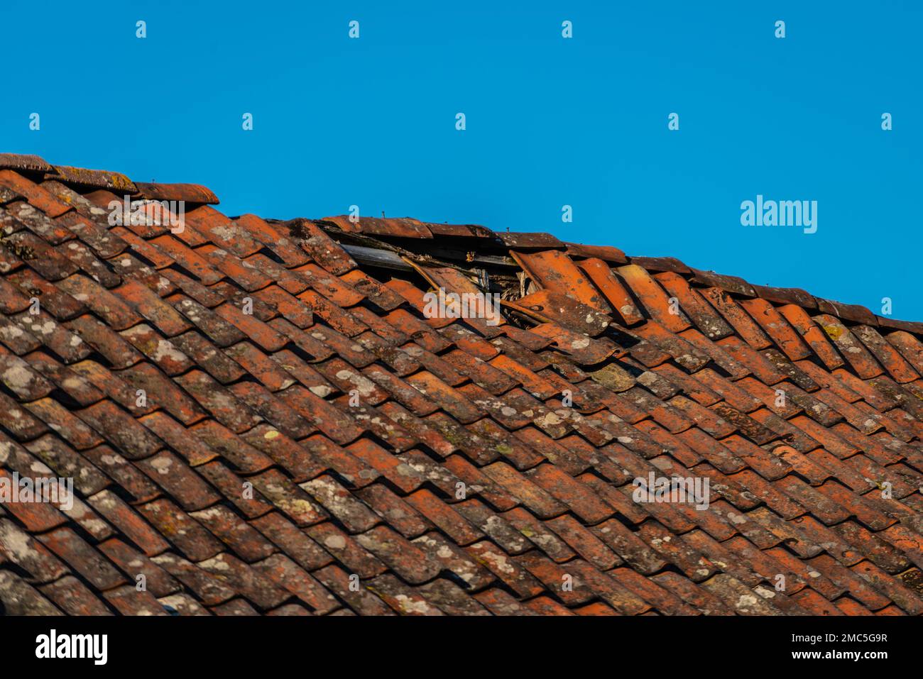 Old abandoned white wooden house Stock Photo - Alamy