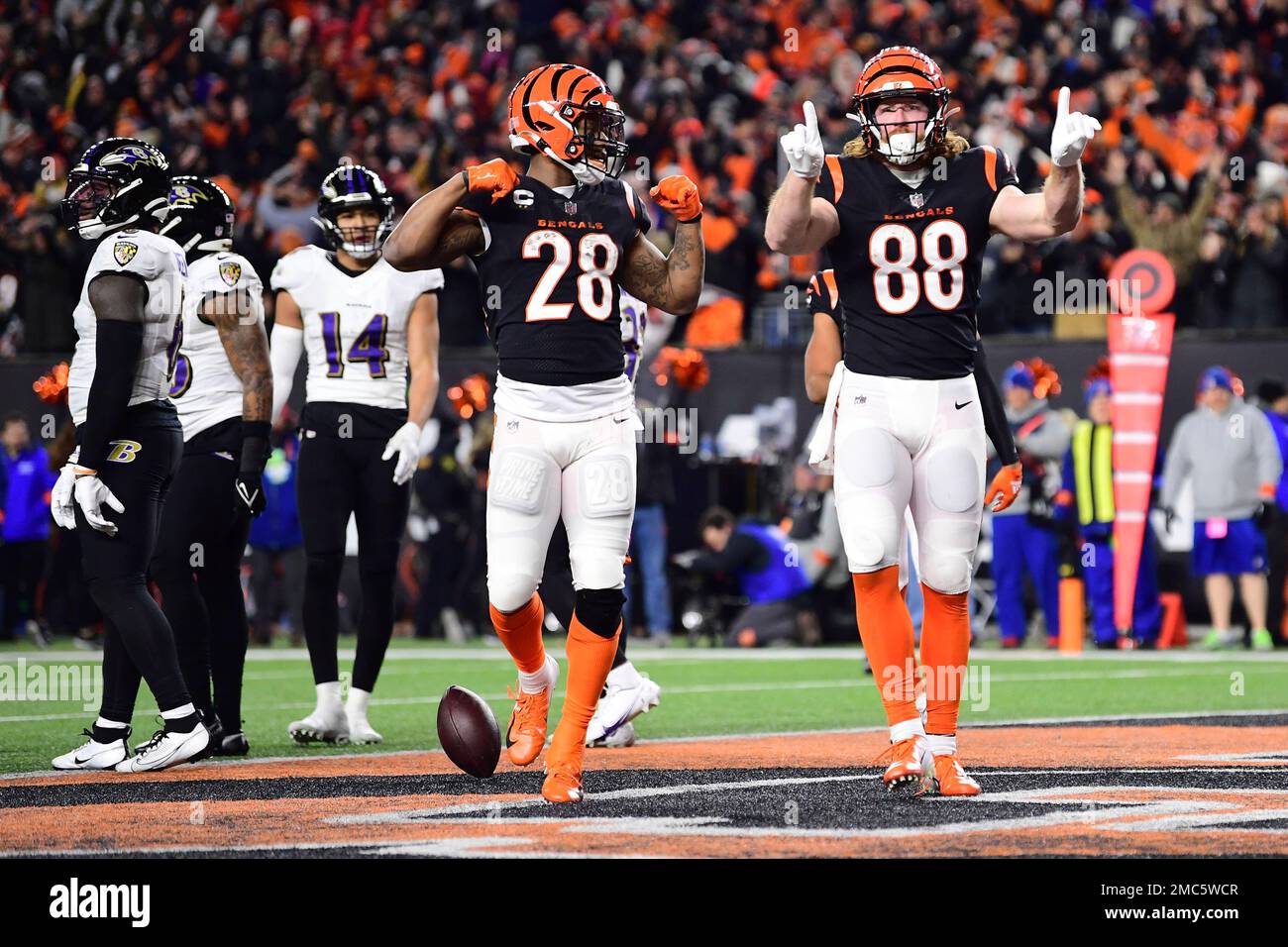 Cincinnati Bengals tight end Hayden Hurst (88) runs off the field after an  NFL wild-card football game against the Baltimore Ravens on Sunday, Jan.  15, 2023, in Cincinnati. (AP Photo/Emilee Chinn Stock