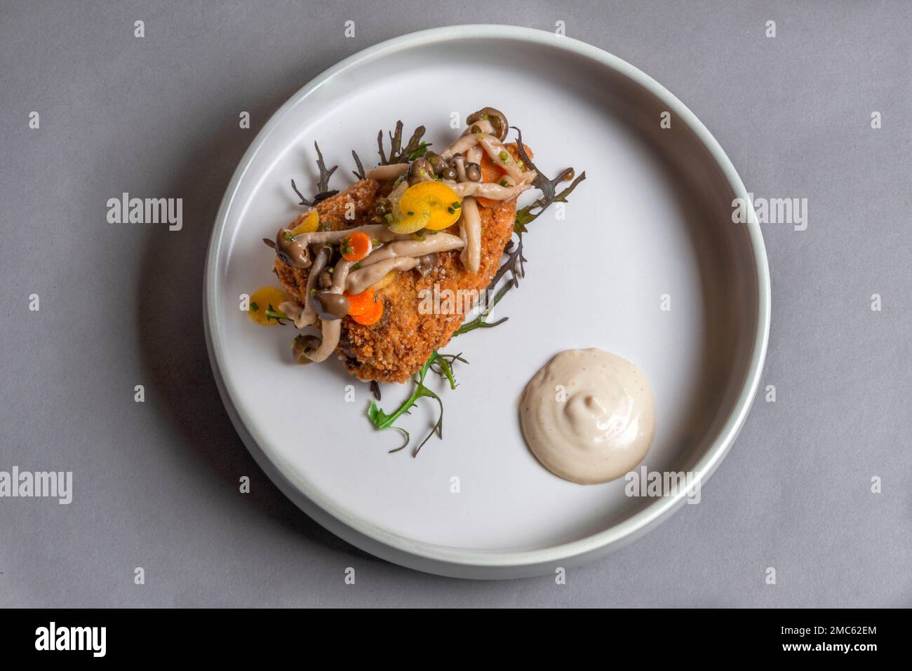 A Birdseye view of a modern plated meal, shot against a plain grey background. Stock Photo