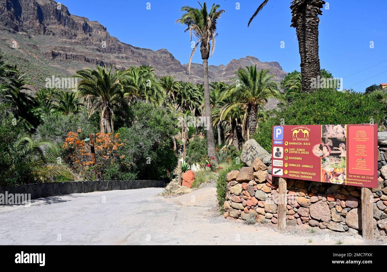Sign and entrance to Camel Safari Park “La Baranda” near Fataga, Gran Canaria Stock Photo