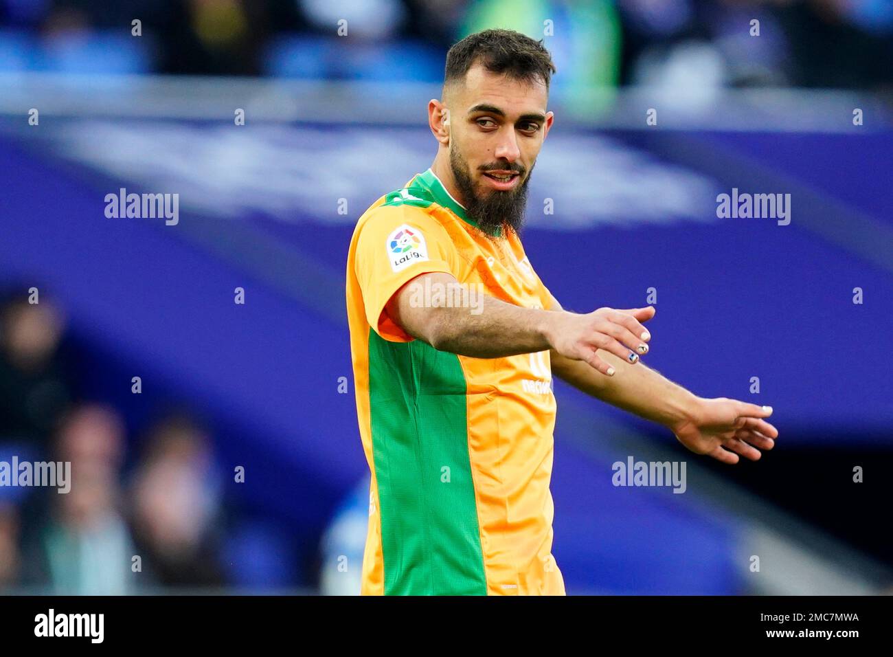 Borja Iglesias of Real Betis during the La Liga match between RCD Espanyol  and Real Betis