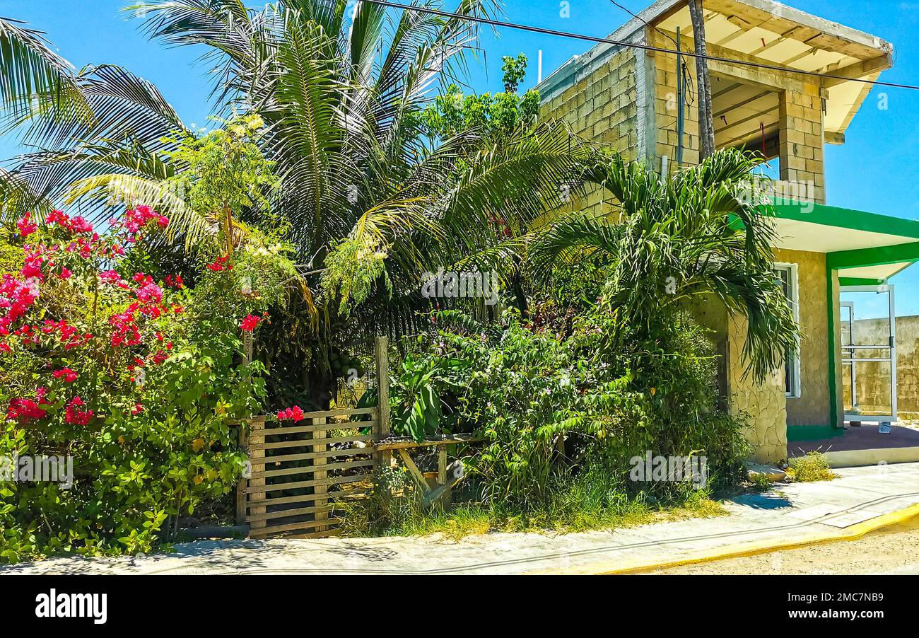 Chiquila Quintana Roo Mexico 16. May 2022 Small village place with port