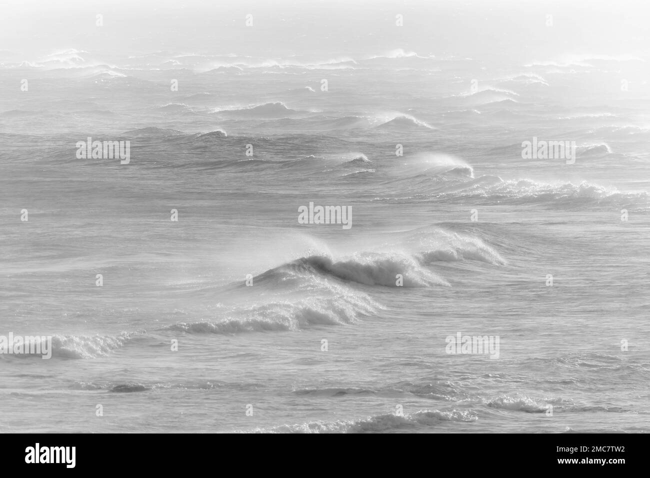 Waves resembling white horses, UK Stock Photo Alamy