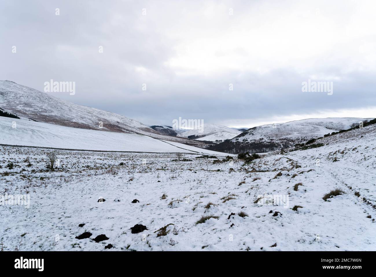Winter in the cheviot hills, Northumberland, UK Stock Photo