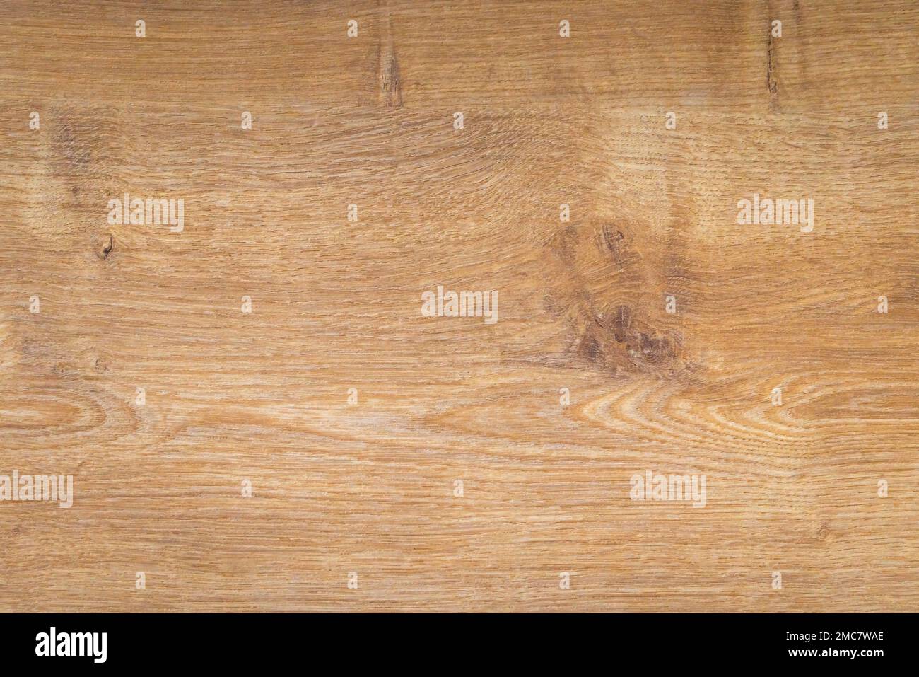Wood patterns with knobs and texture. Stock Photo