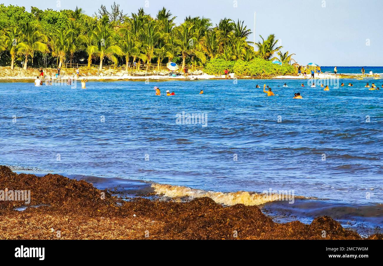 The beautiful Caribbean beach totally filthy and dirty the nasty ...