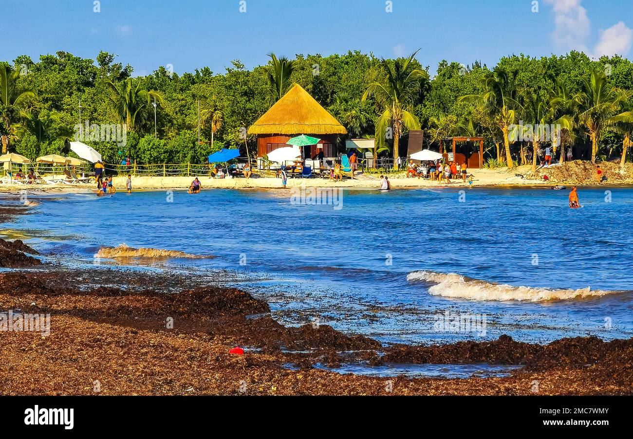 The beautiful Caribbean beach totally filthy and dirty the nasty ...