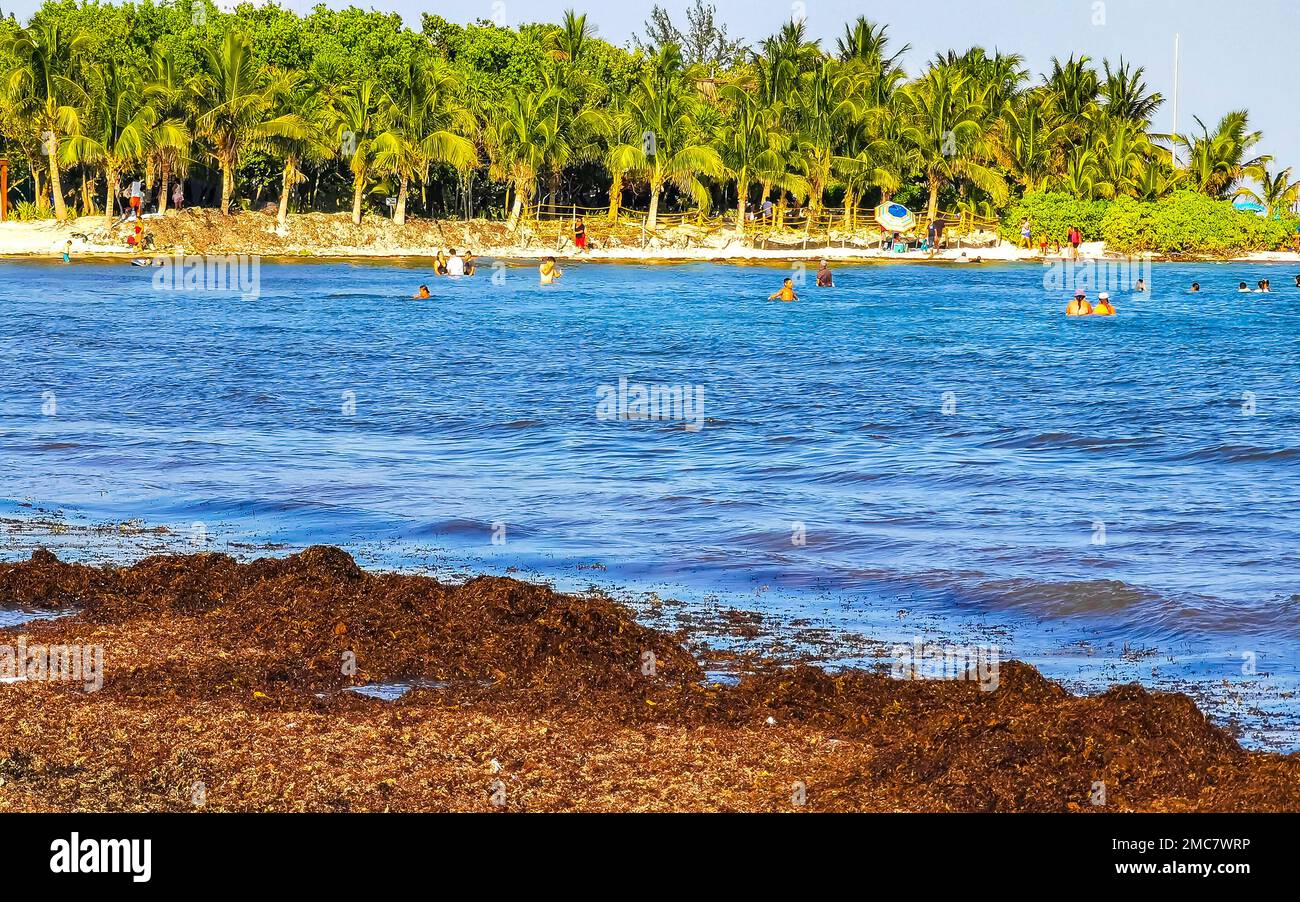 The beautiful Caribbean beach totally filthy and dirty the nasty ...