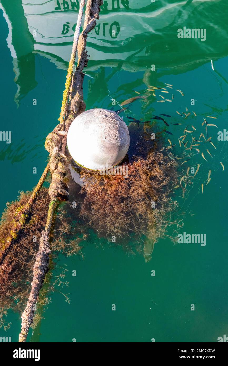 Buoy on the rope of a laüt in the harbour of Cala Figuera, Mallorca. Stock Photo