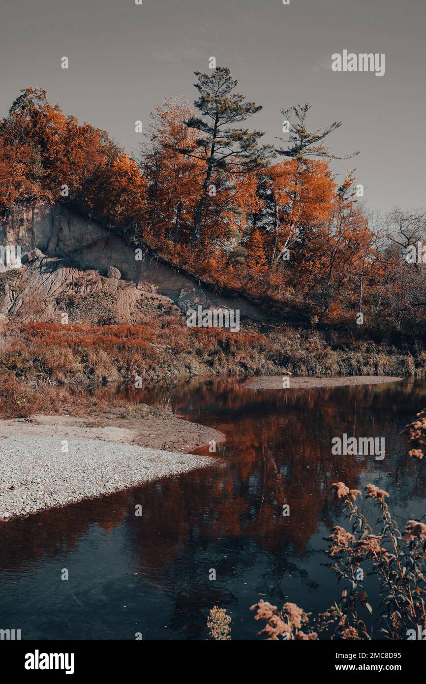 A vertical shot of a lake with the yellow trees reflected in the calm ...