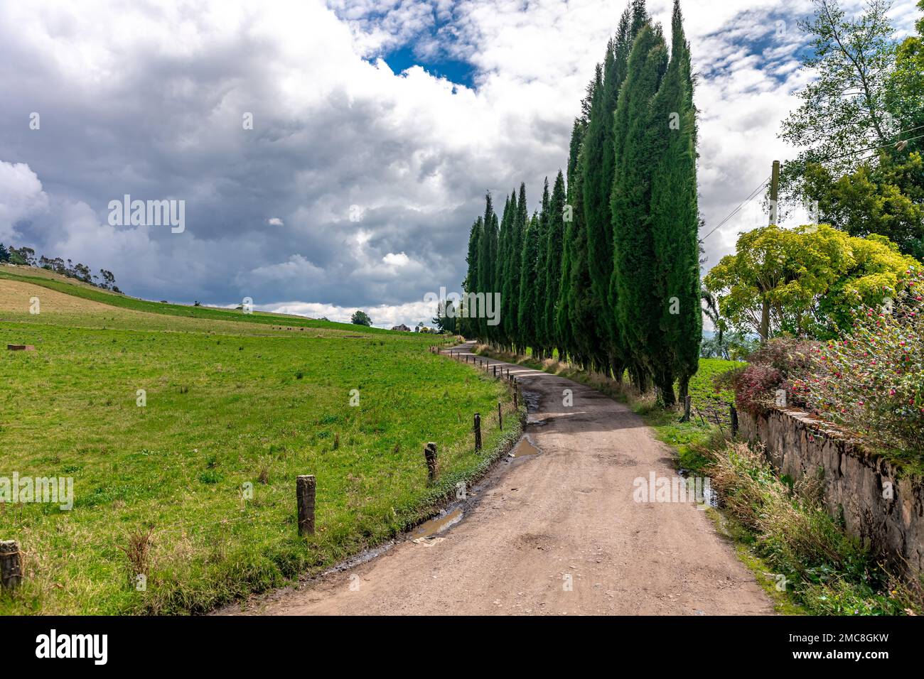 forests and mountains in the beautiful Colombian nature Stock Photo - Alamy