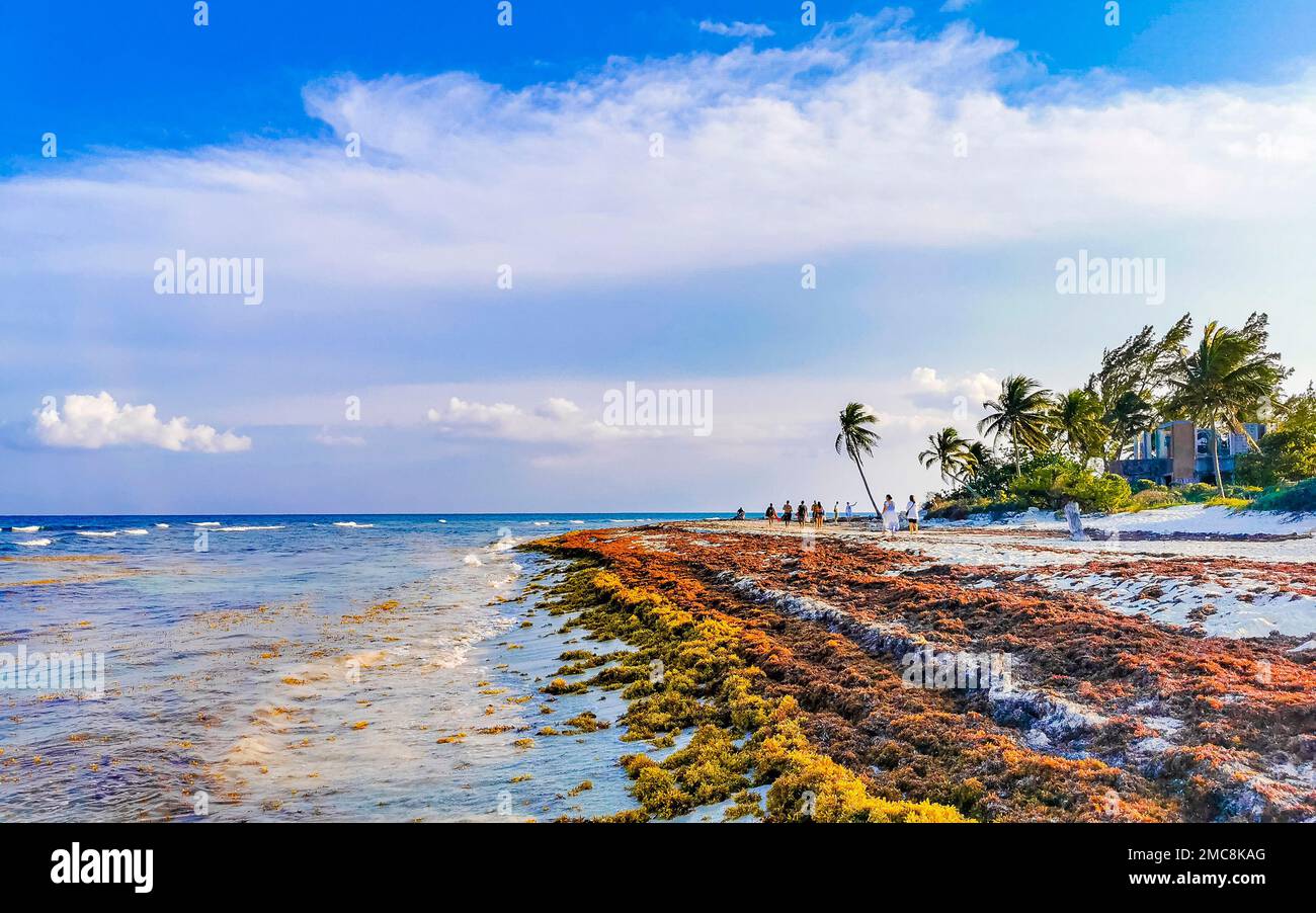 The beautiful Caribbean beach totally filthy and dirty the nasty ...