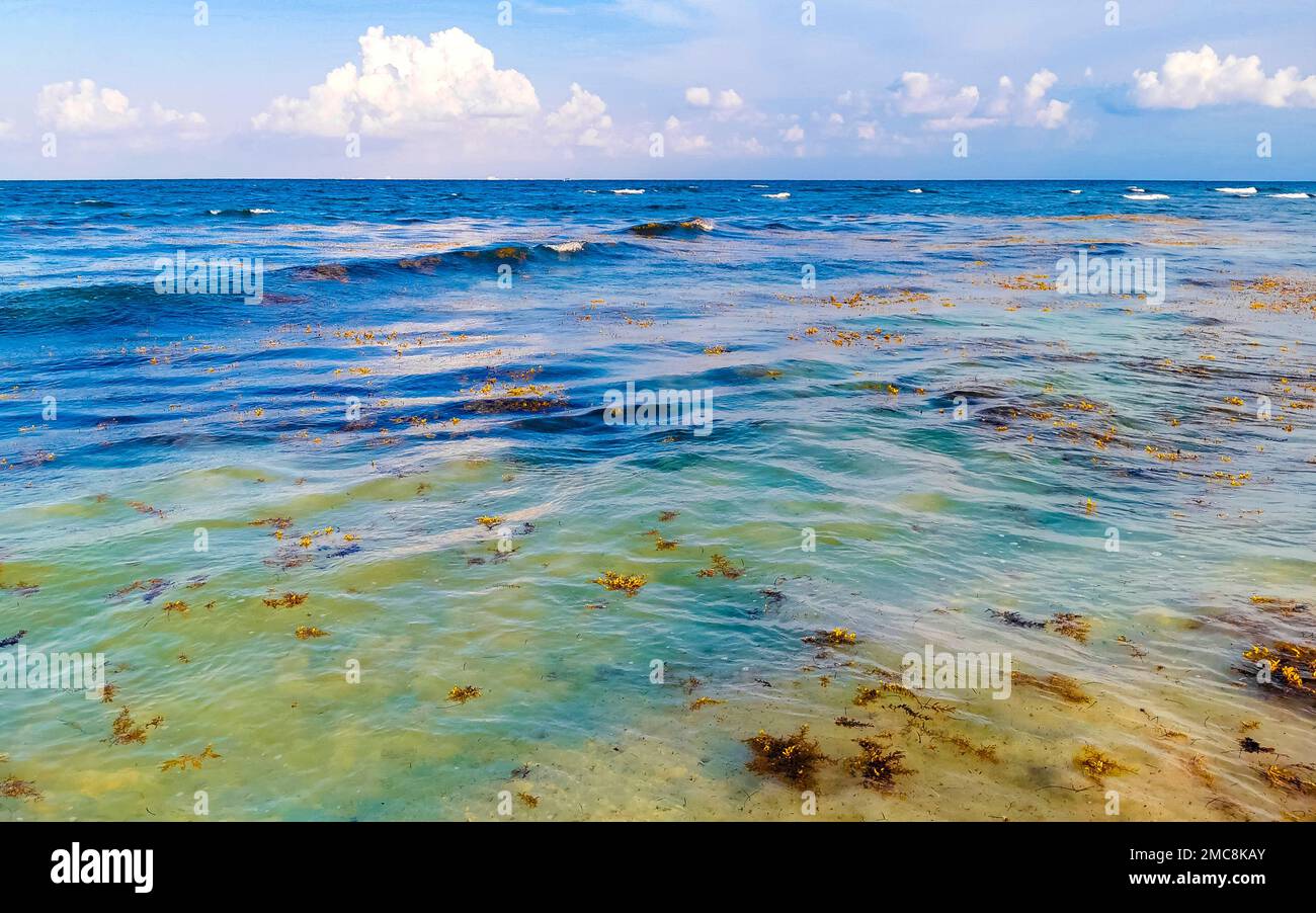 The beautiful Caribbean beach totally filthy and dirty the nasty ...