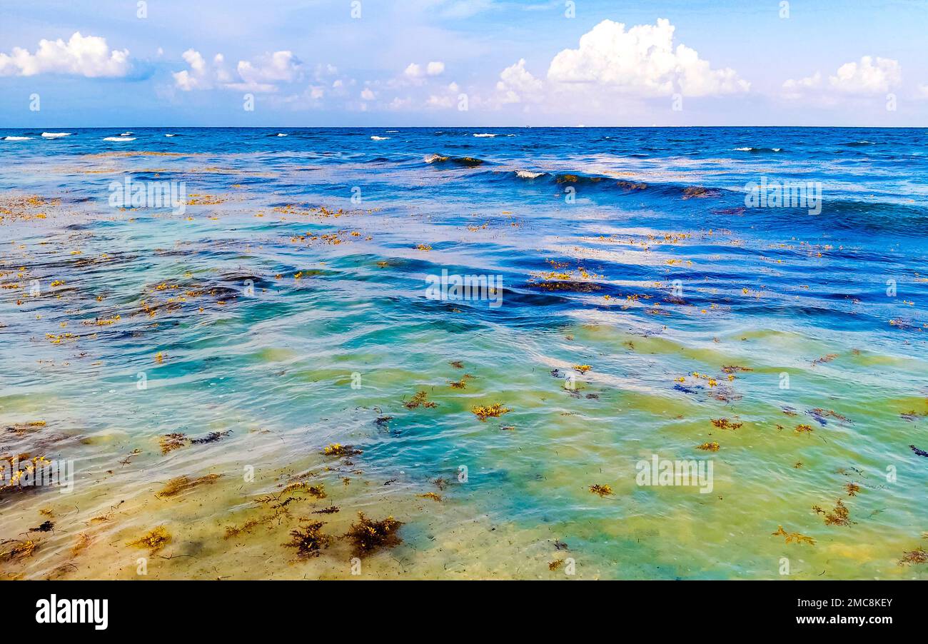 The beautiful Caribbean beach totally filthy and dirty the nasty ...