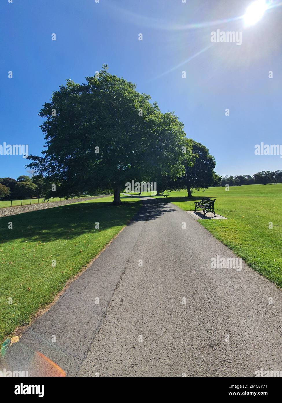 Beautiful shot narrow asphalt hi-res stock photography and images - Alamy